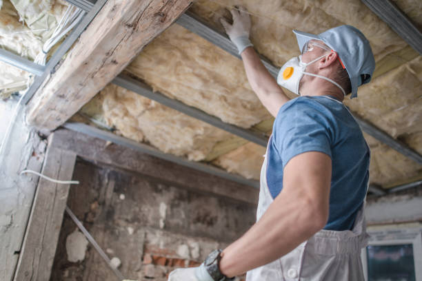 Best Specialized Insulation Services in Lake Katrine, NY