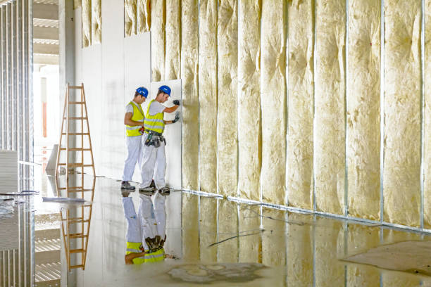 Best Insulation Maintenance and Repair in Lake Katrine, NY